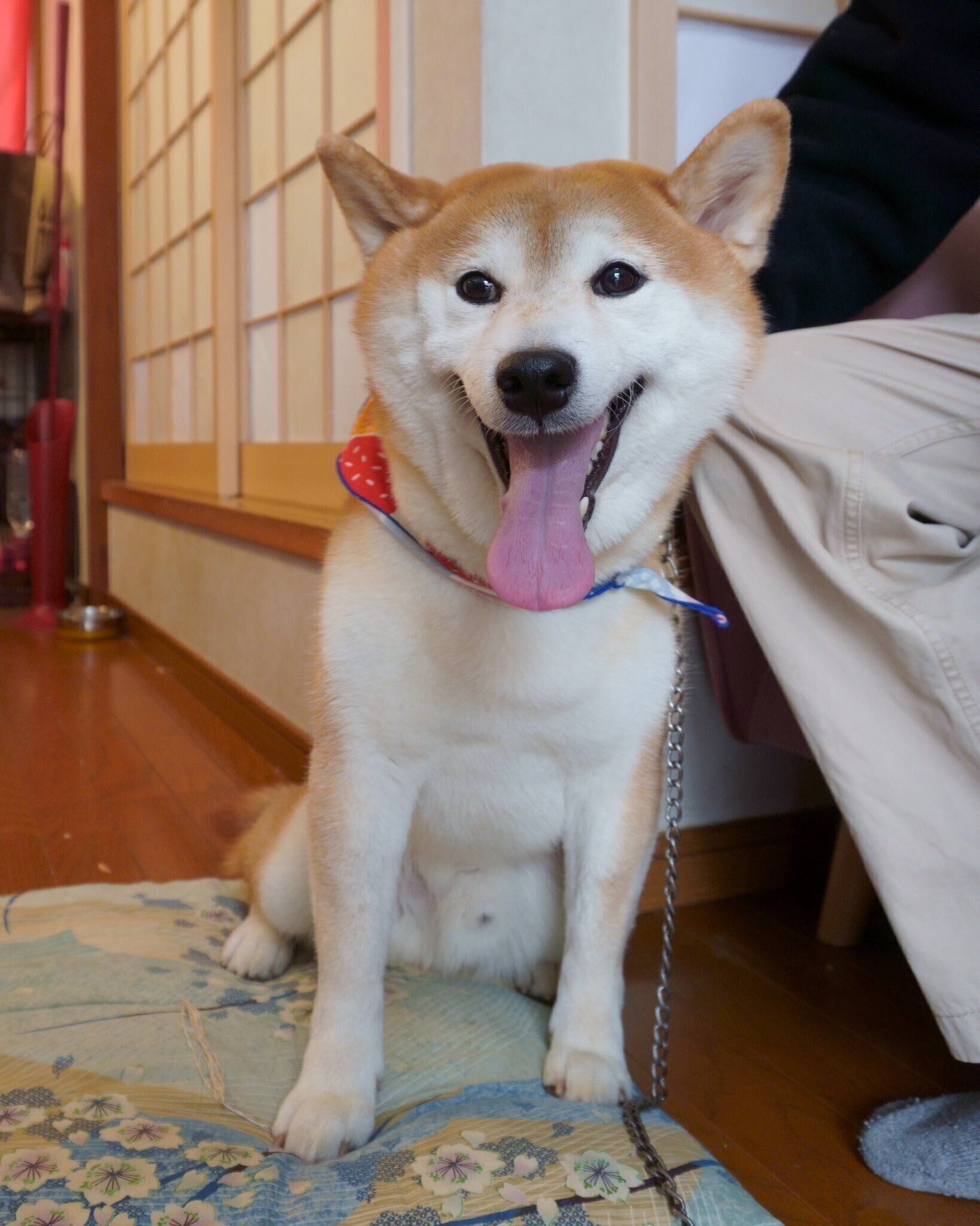 笑顔が可愛いケンタくん