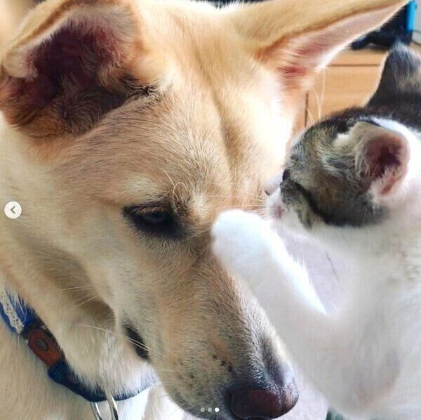 くるりちゃんに近づくななちゃん