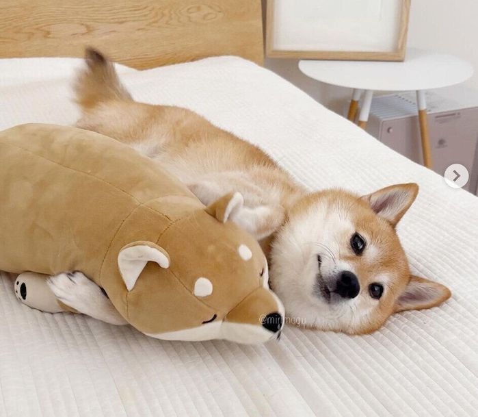 ぬいぐるみを抱えるはなちゃん