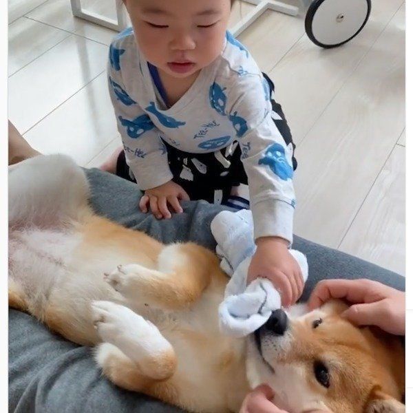 花子ちゃんを寝かしつけるモモ子ちゃん