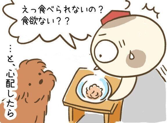 連載「こぐま犬てんすけ」