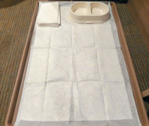 フェリーさんふらわあ提供