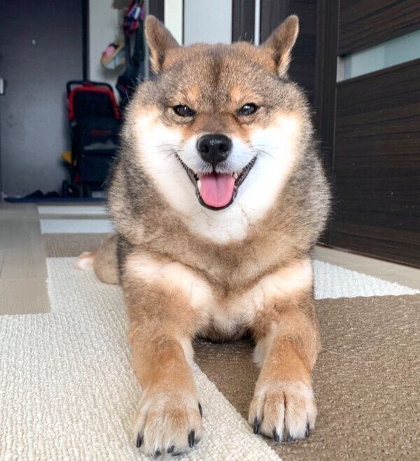 笑顔の花ちゃん