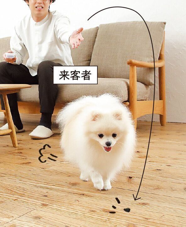 繰り返してもらうことで来客のイメージアップ！