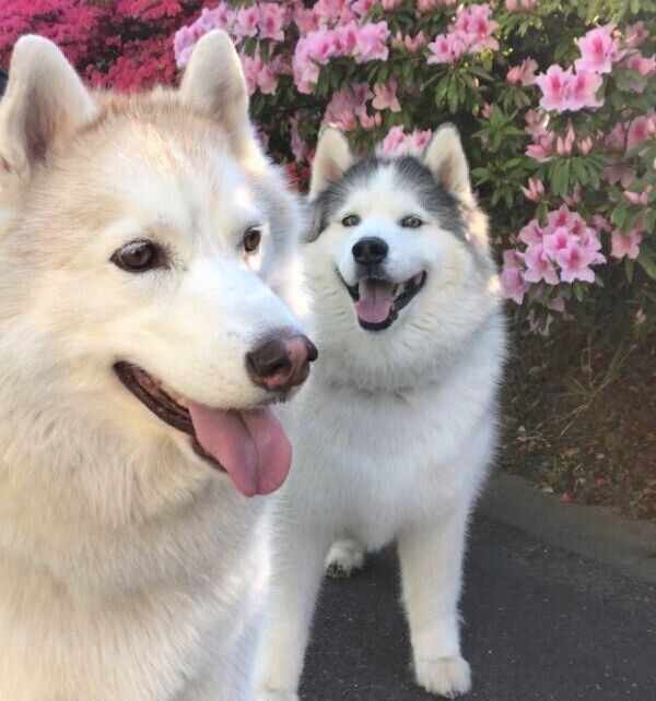 笑顔のグーちゃんとフィスくん