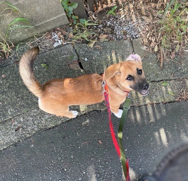 笑顔のぺこちゃん