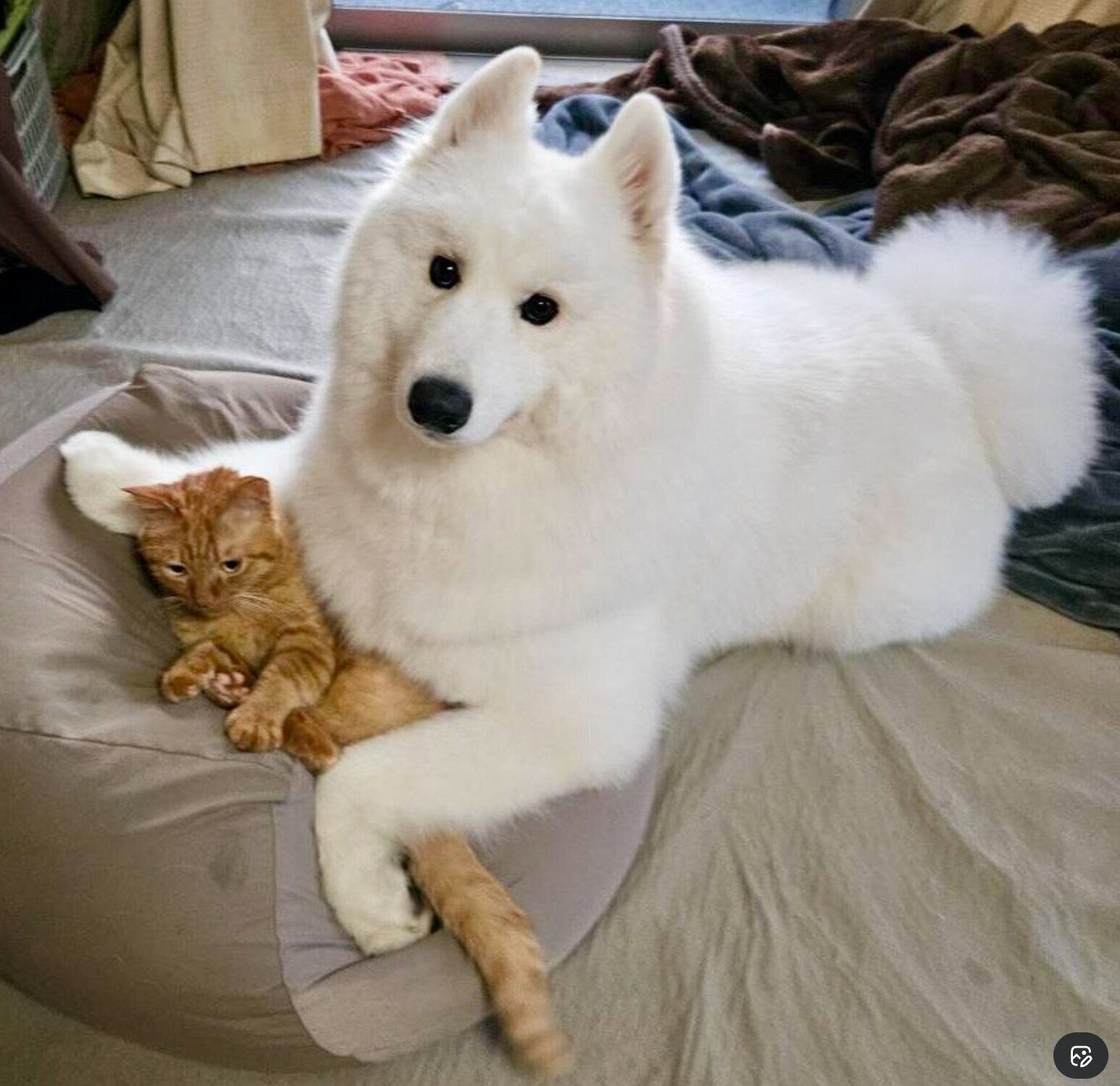 くっつくフクくん、タタくん