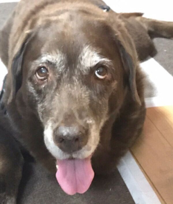 笑顔の副ちゃん