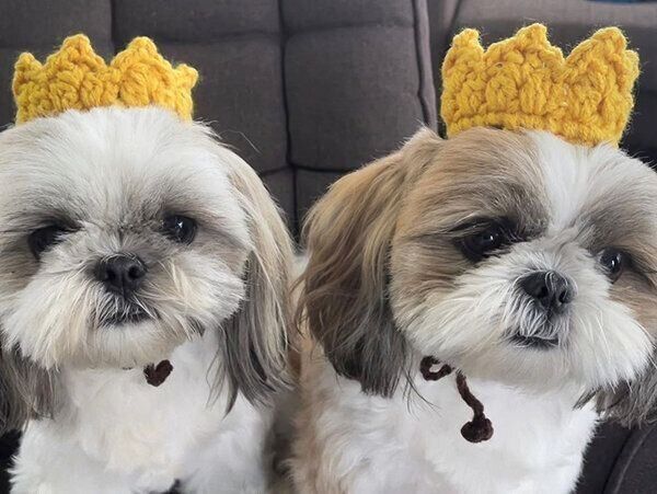 仲良しなももちゃんと奈々ちゃん