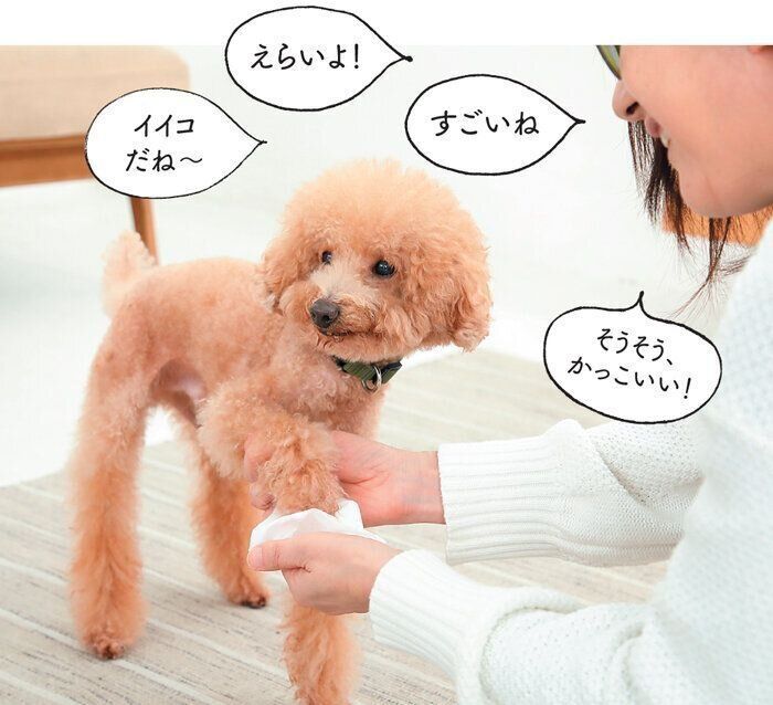 お手入れ中の「見て話す」