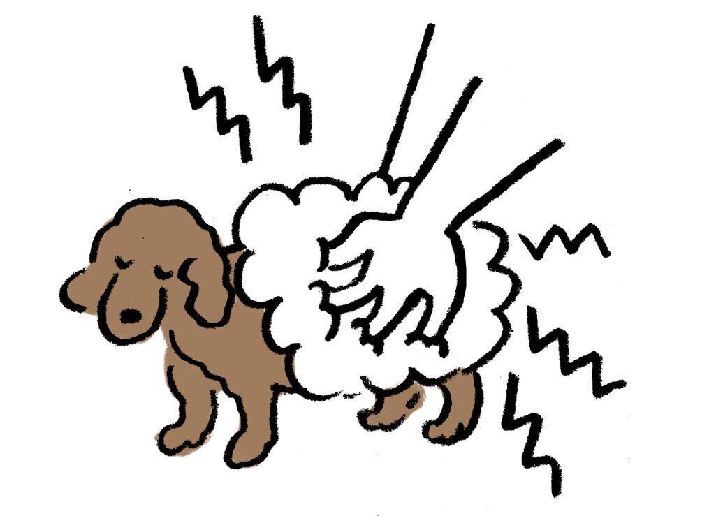 イラスト／オガワナホ