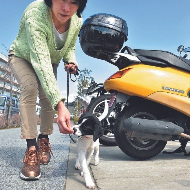 バイクなどの乗り物に慣れさせる