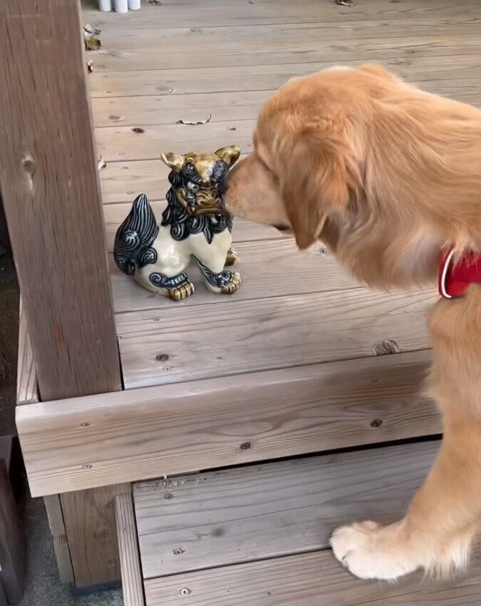 クンクンするはなちゃん