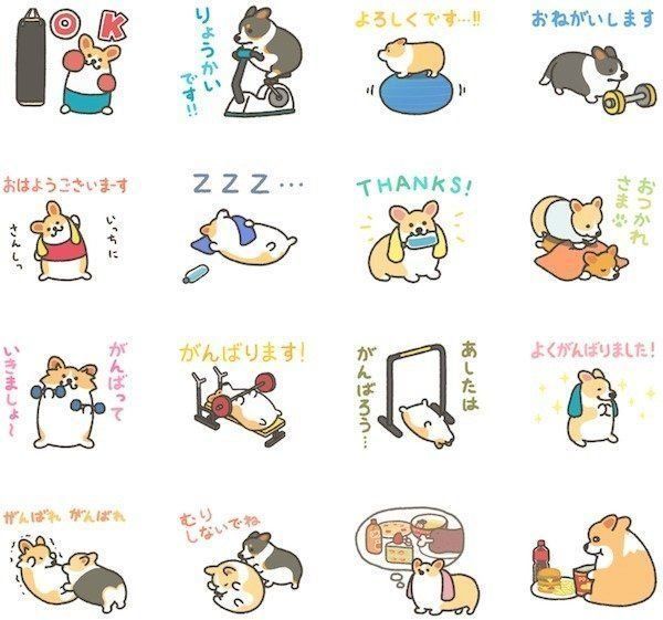 「1コギの毎日フィットネス」