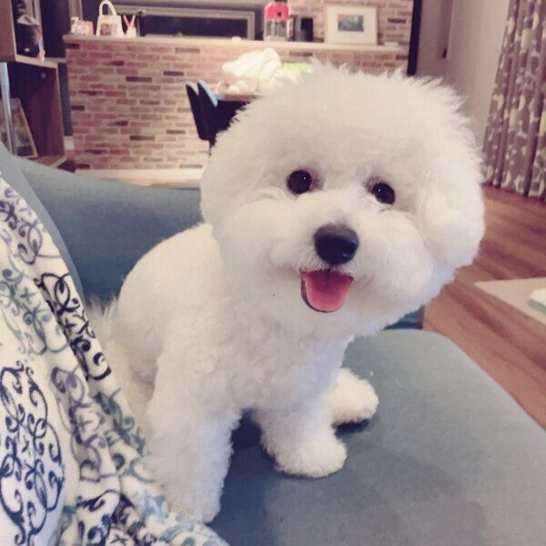 笑顔が可愛いぽんくん