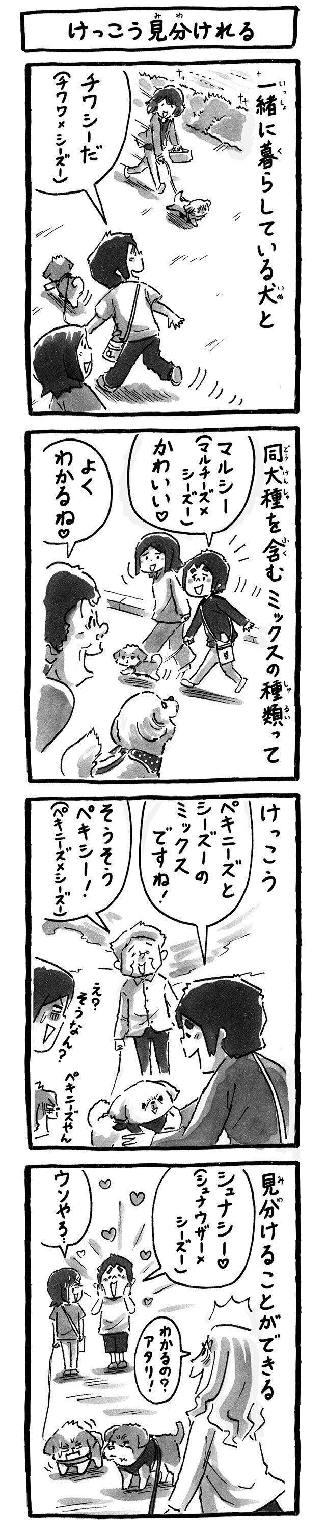 シーズー犬マンガてんぽshihtzu