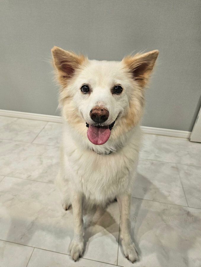 成長後の様子　瑞鶴ちゃんは家族のことが大好きなのだとか