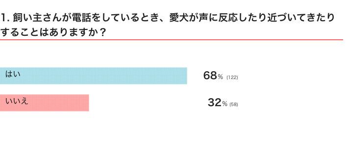 飼い主さんが電話をしているとき、愛犬が声に反応したり近づいてきたりすることはある？