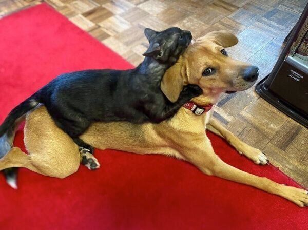 仲良しな海くんと仁くん