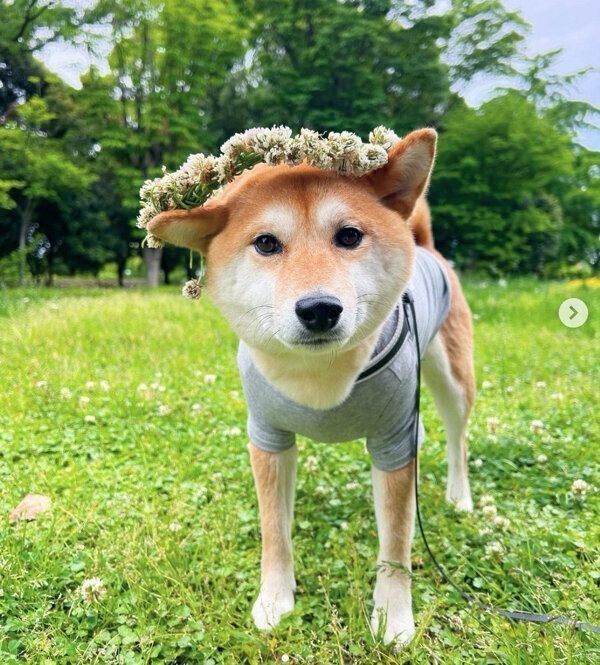 見つめるすずちゃん