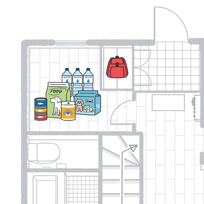 イラスト/井上明香