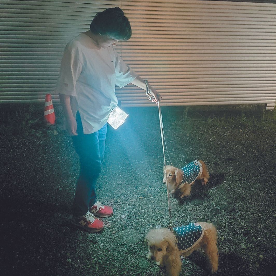 普段は夜の散歩の明かりとして