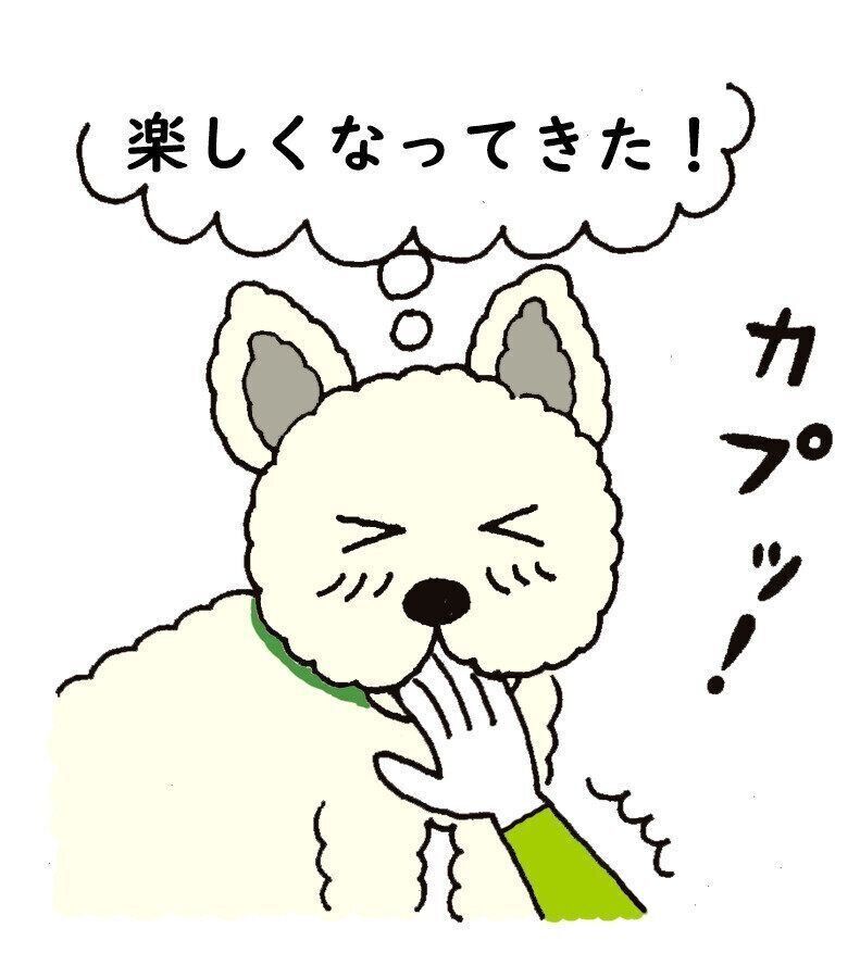 犬の 人への噛みグセ を悪化させる してはいけない対応３選 いぬのきもちweb Magazine