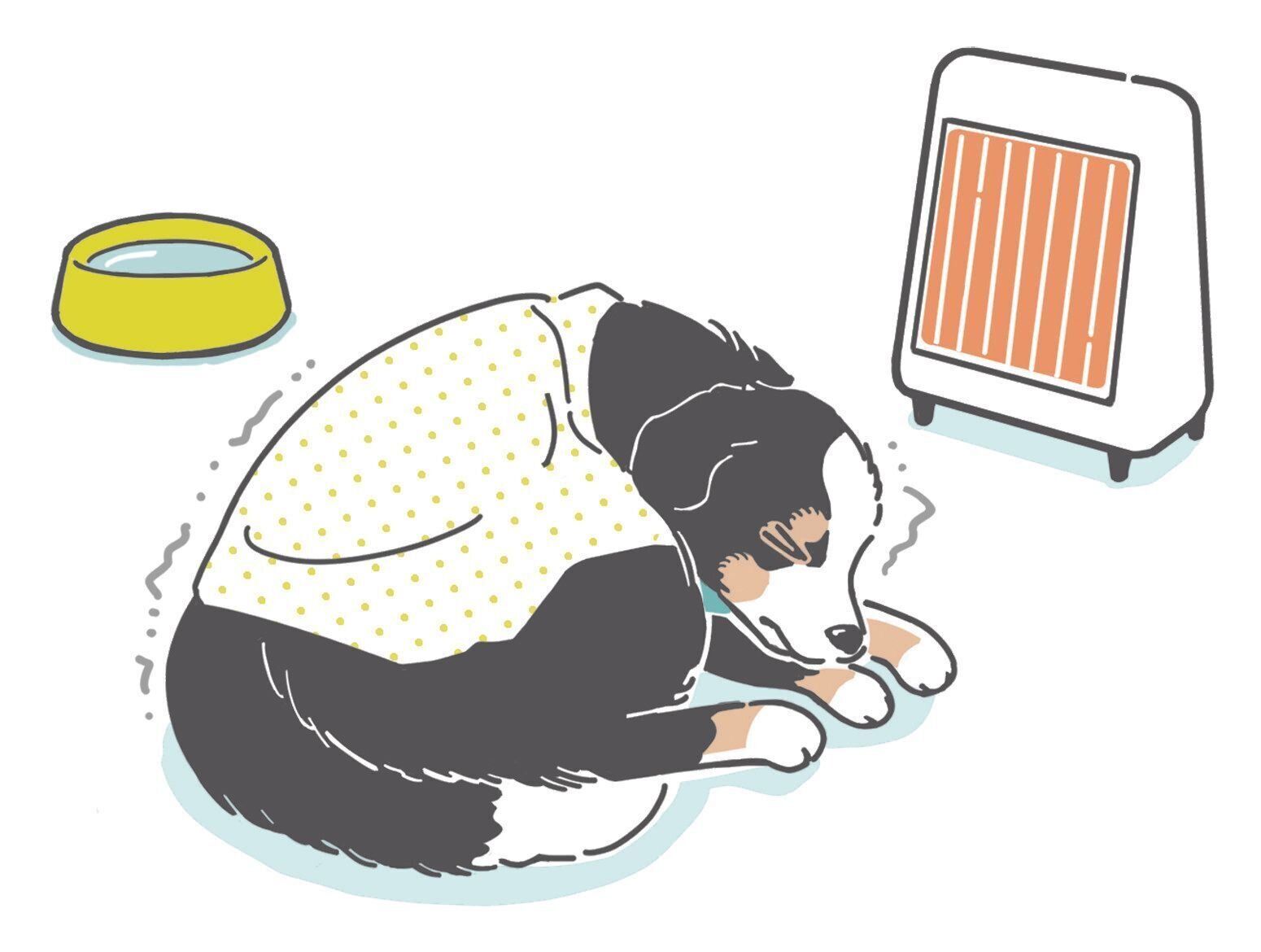 イラスト／坂本 彩