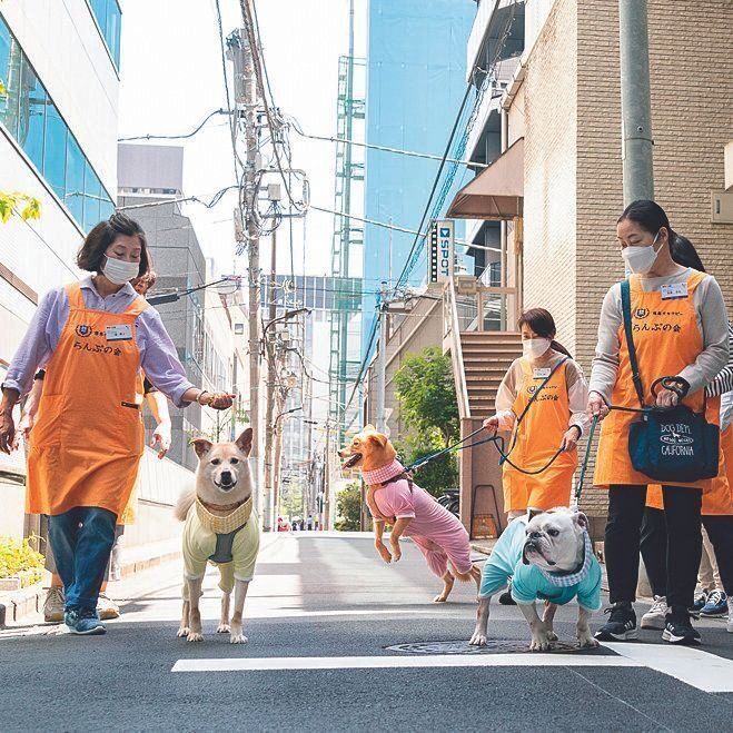 仕事の合間の散歩タイムでは、慈恵犬たちは家庭犬の顔に戻り、らんぷの会のお母さんたちに甘えます