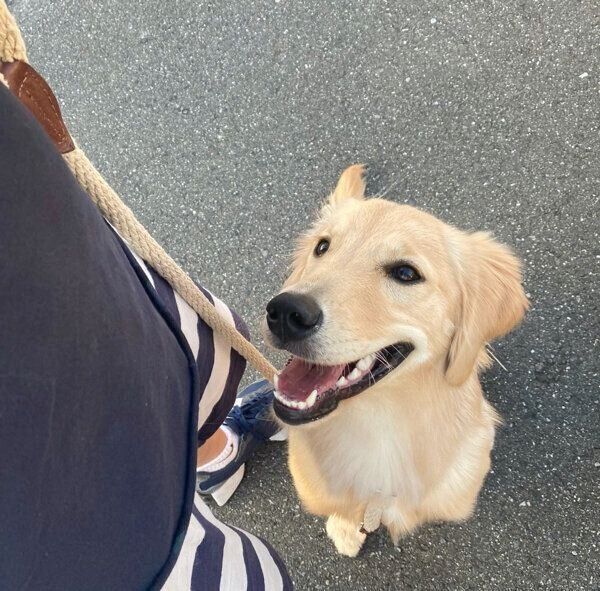 目をキラキラさせるテアちゃん