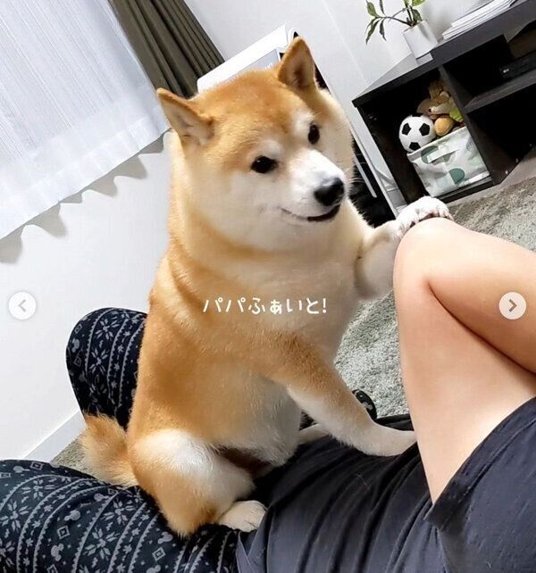 腹筋トレーニングのお手伝いをする福来くん