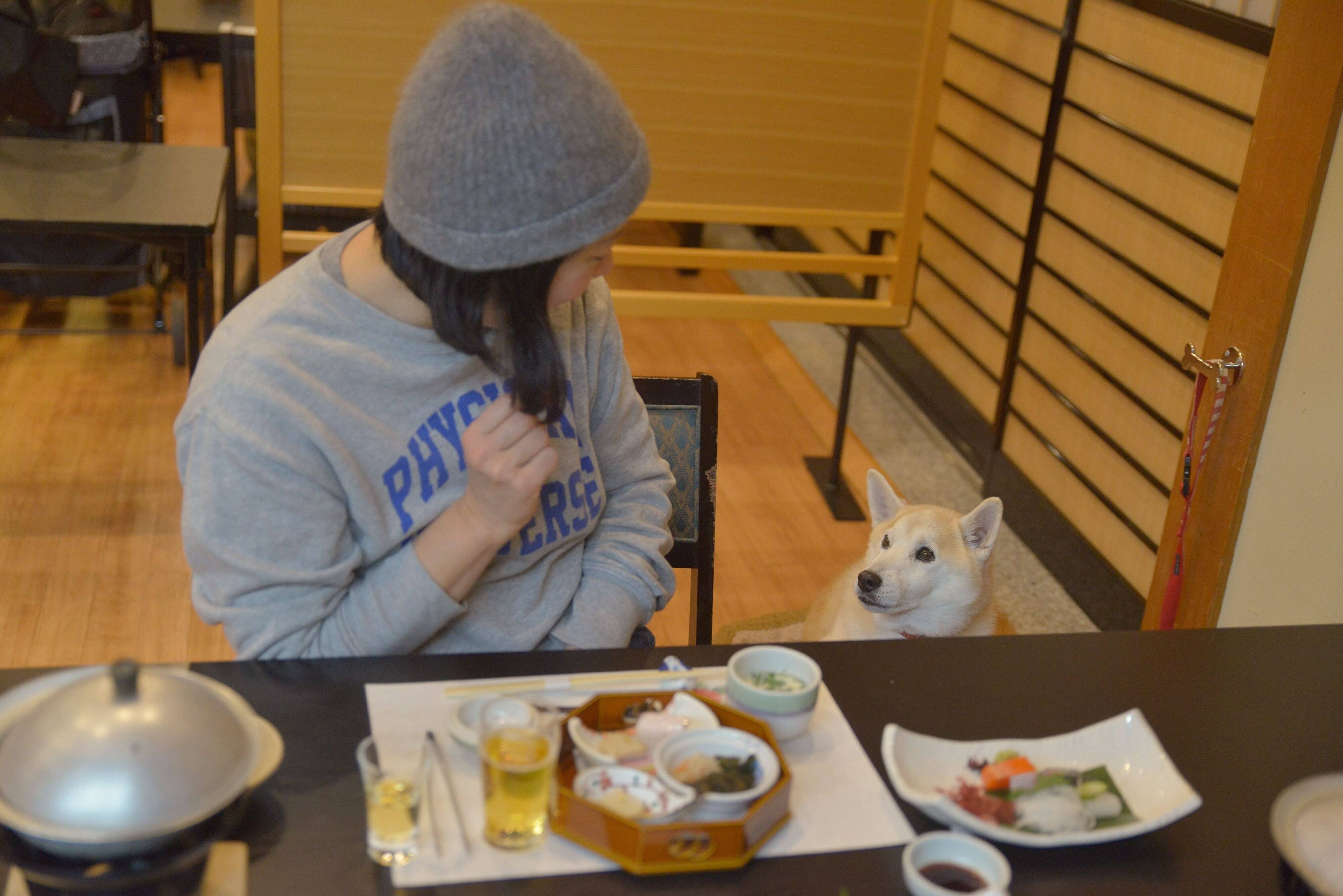 お食事中も愛犬と一緒に過ごせます！