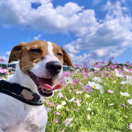 スマイル全開！笑ってる♪