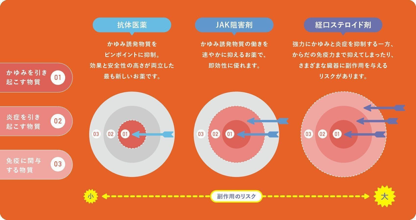 新たなかゆみの治療薬の解説