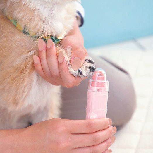 撮影／尾﨑たまき