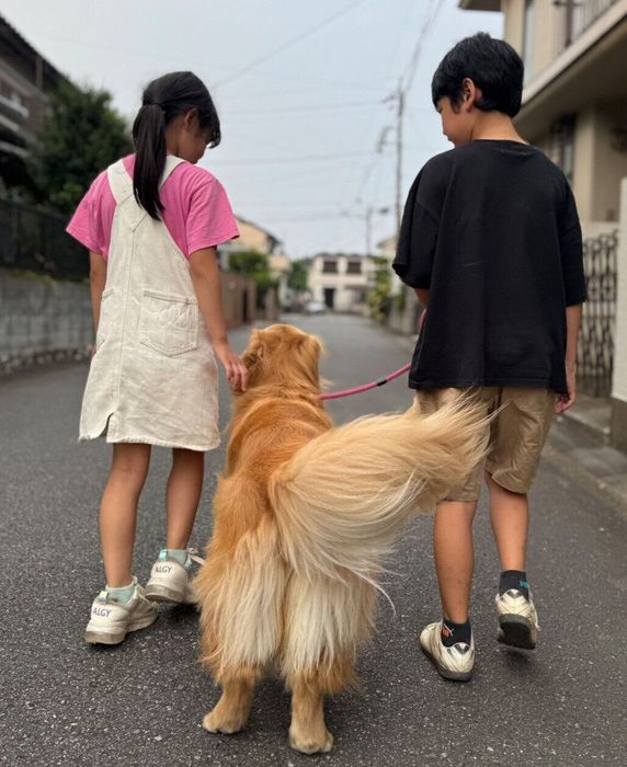 みんなで散歩をしたときの様子
