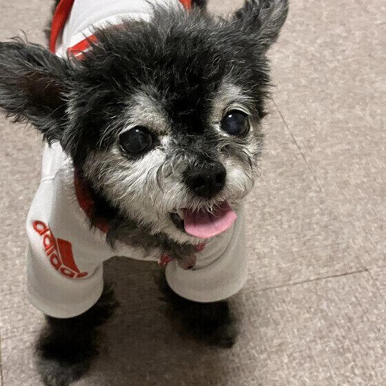 ニッコリ笑顔がかわいい