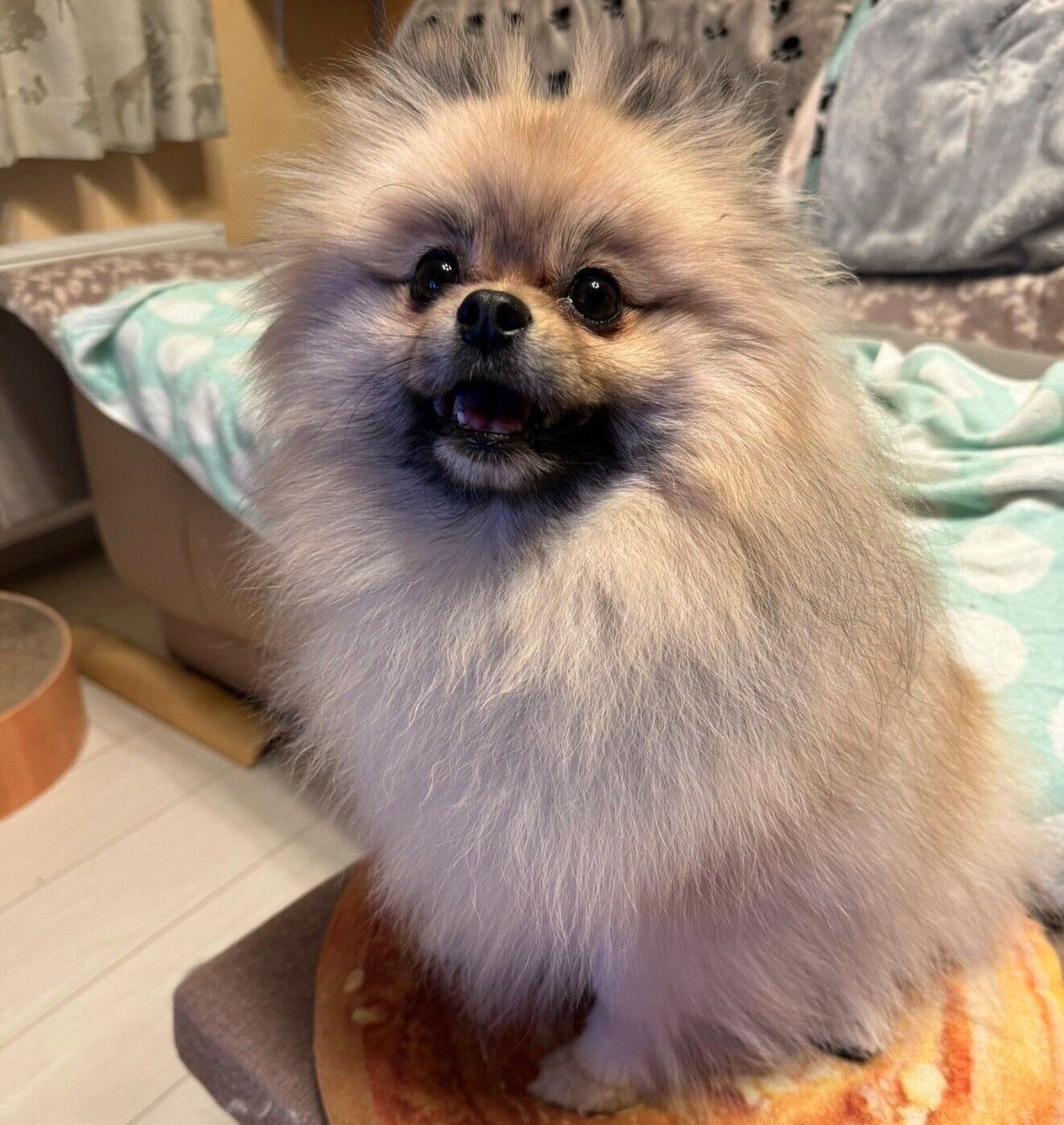 笑顔が可愛い五郎くん