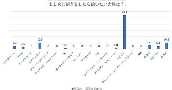もし次に飼うとしたら飼いたい犬種は?