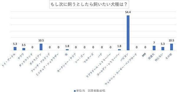 もし次に飼うとしたら飼いたい犬種は？