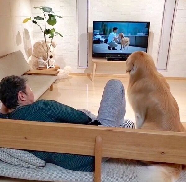 パパさんと映画鑑賞をするアランくん