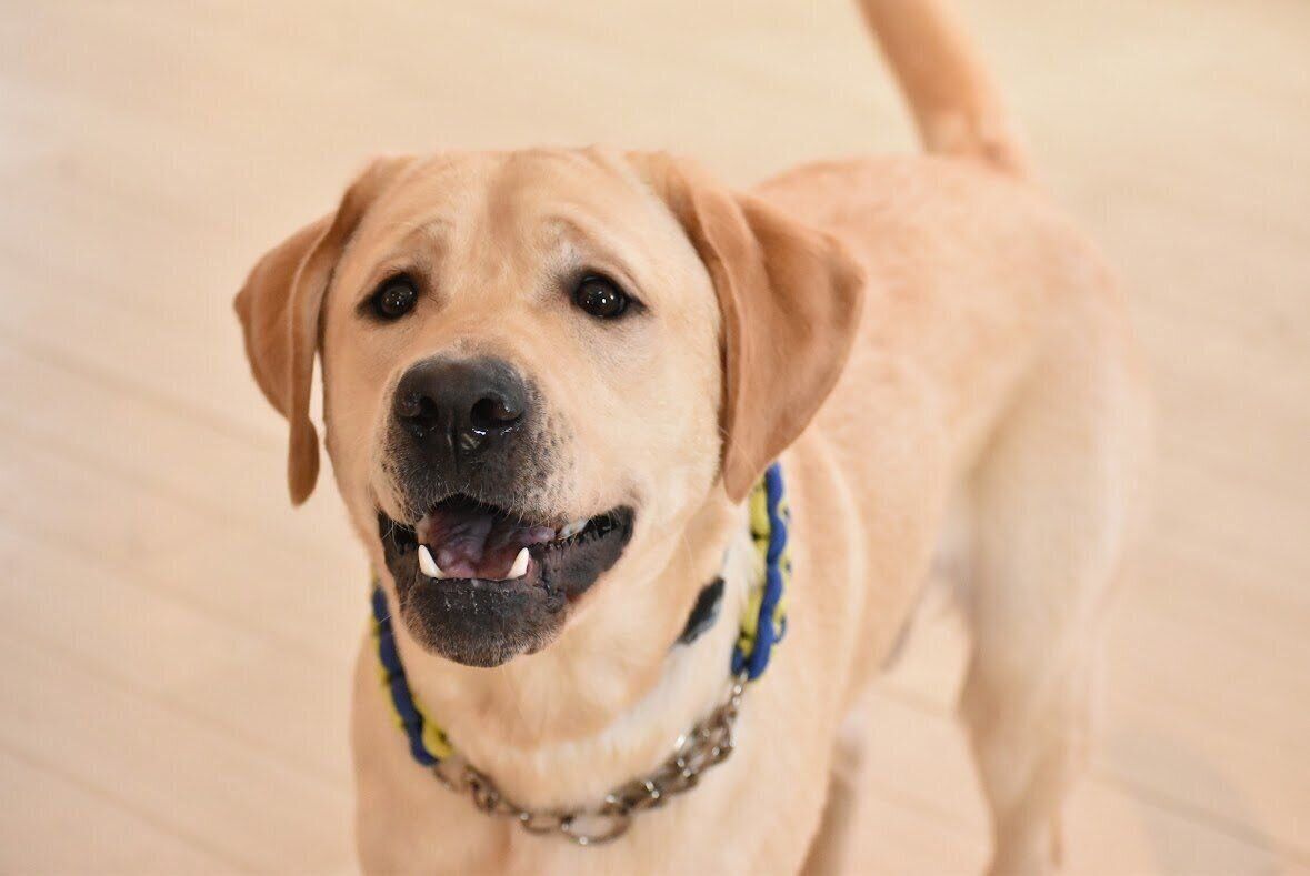 2才になったノアくん