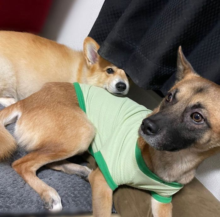 ビギーくんの背中に顔をのせるパックくん