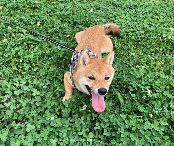 楽しそうなまるくん