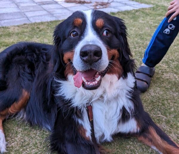 可愛らしい表情をするまさおくん