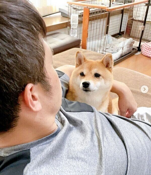 見つめ合うマメちゃんとパパさん