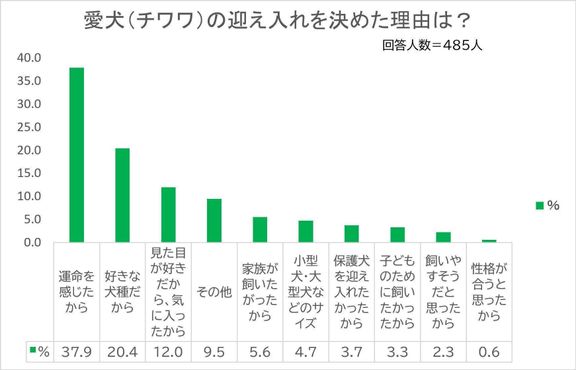 Q.チワワを迎え入れた理由は?