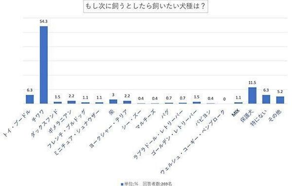 もし次に飼うとしたら飼いたい犬種は？