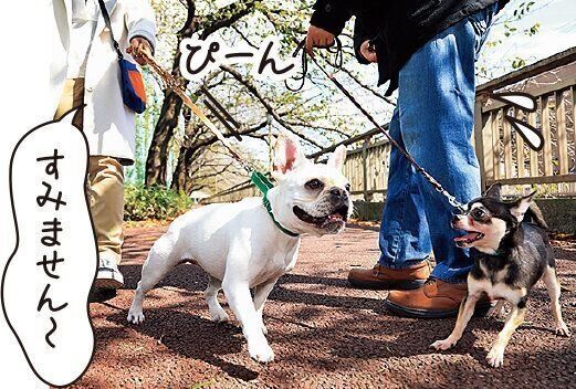 撮影/尾﨑たまき