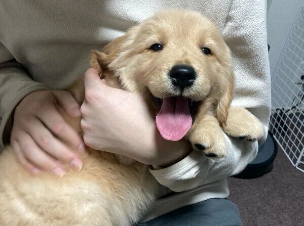 お迎え初日のむぎくん